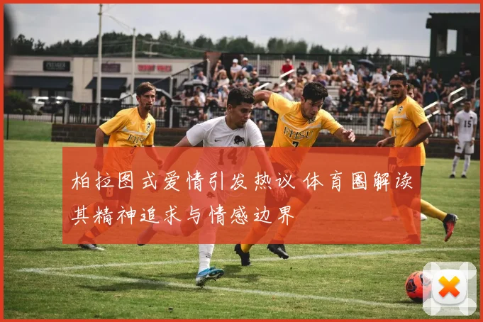 柏拉图式爱情引发热议 体育圈解读其精神追求与情感边界